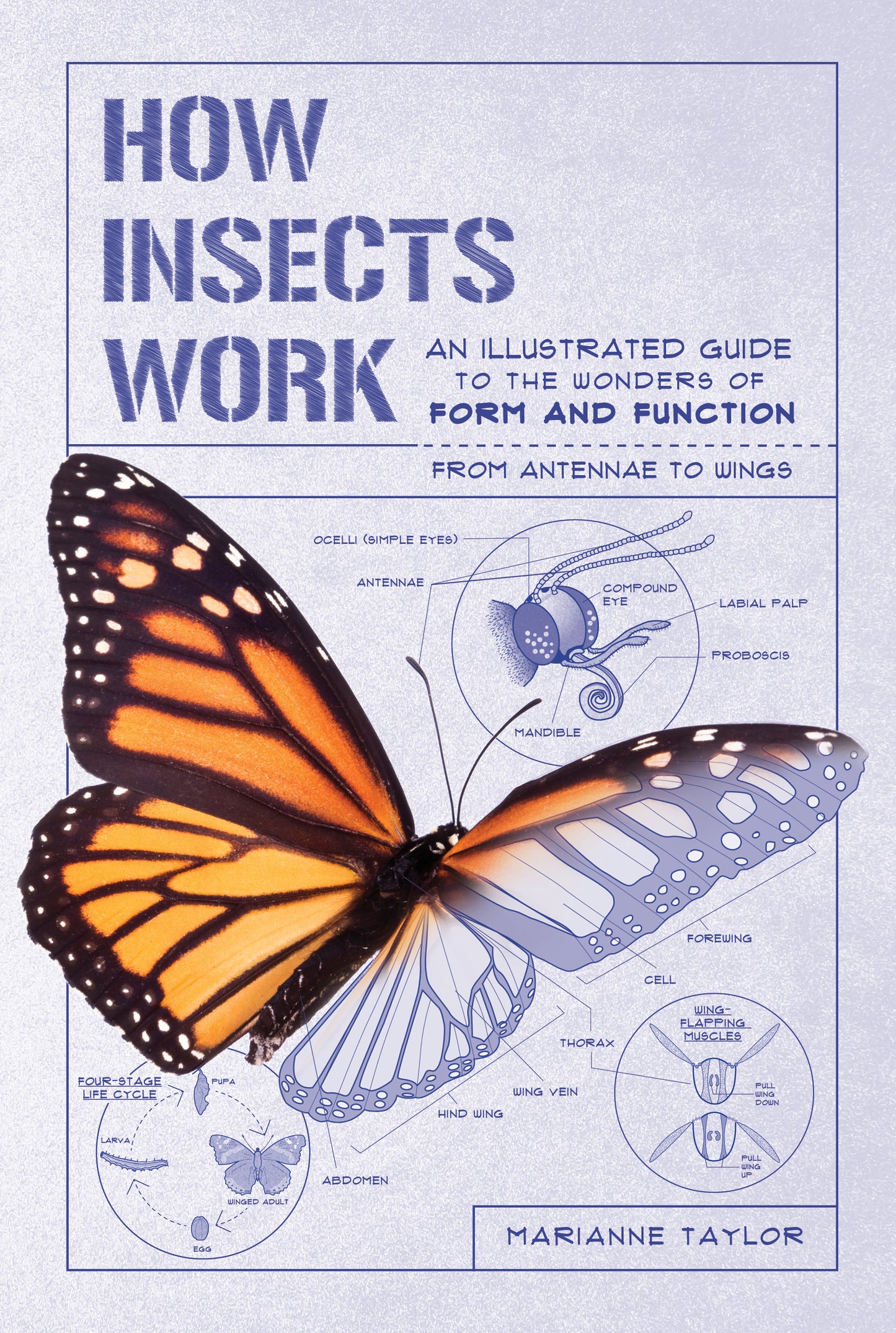 How Insects Work