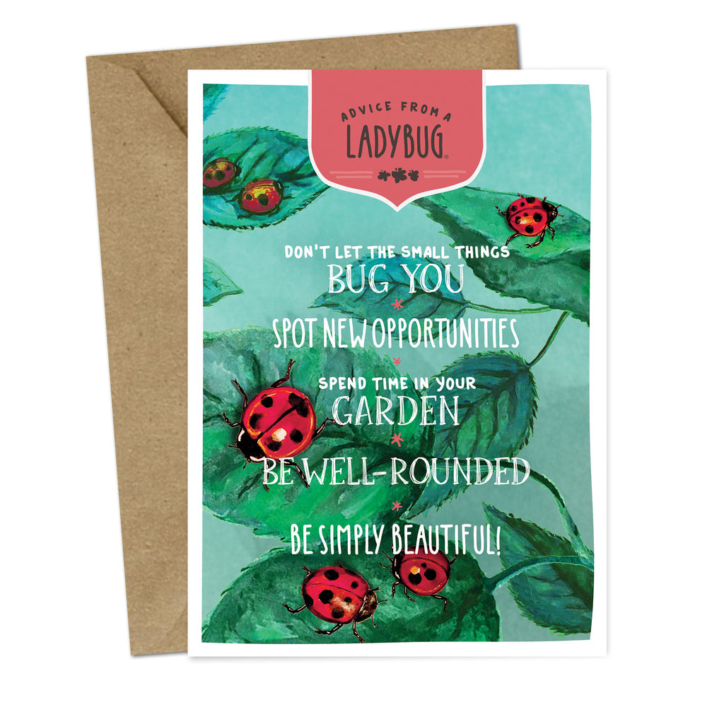 Advice from a Ladybug Greeting Card
